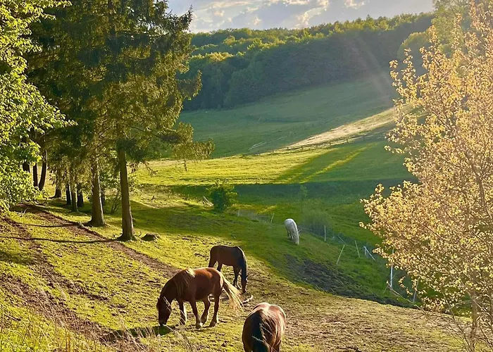 Stunning In With Sauna Prokowo